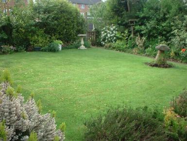 garden